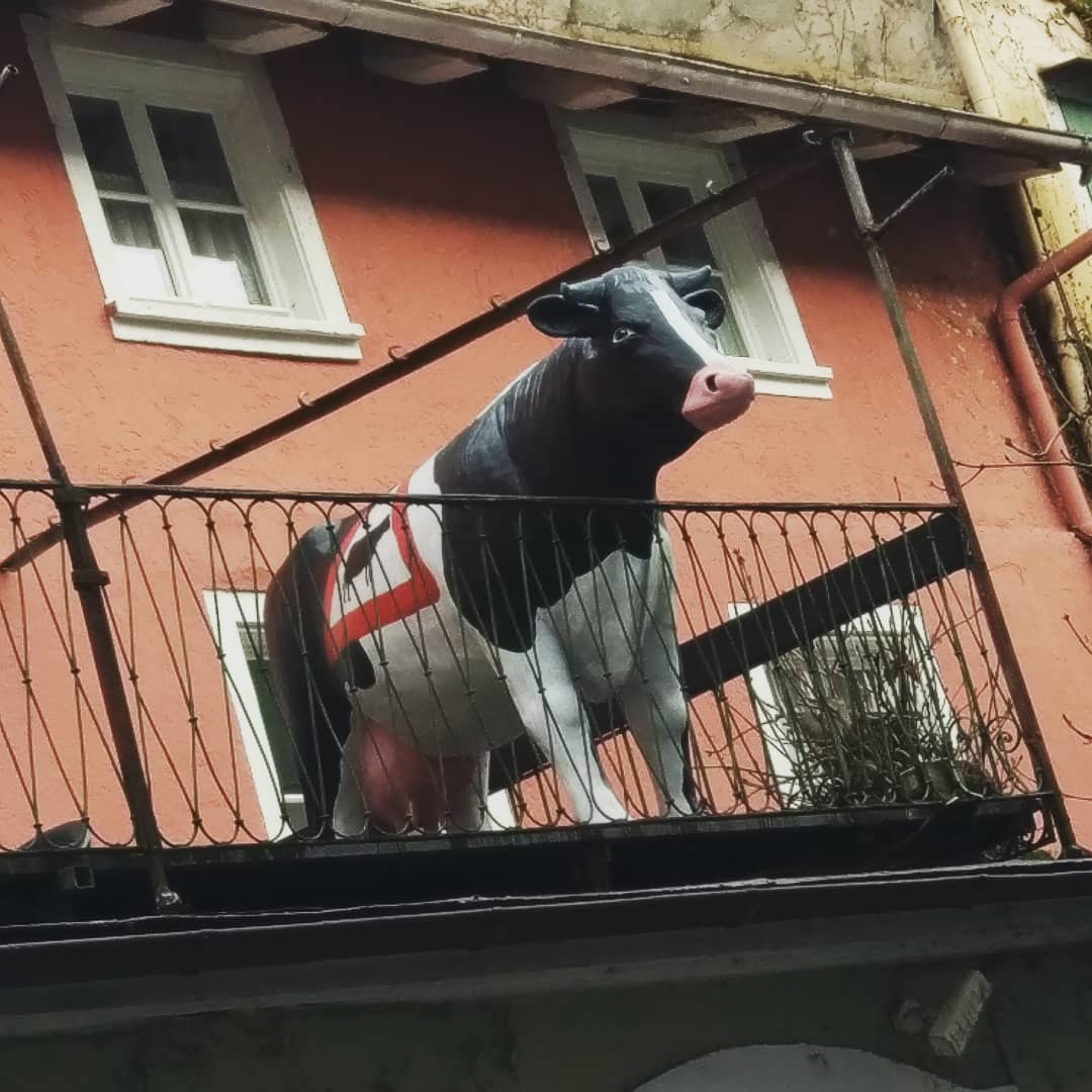Lindau. Die Stadt wo die Kühe auf dem Balkon stehen…